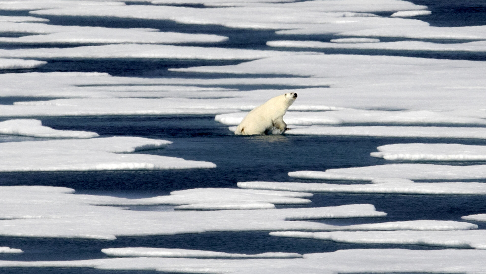 30 Years of Warming Nature Changing